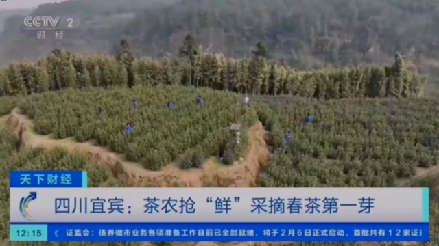 春节期间宜宾多次登上央视，亮点都在这儿！