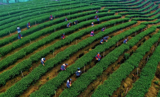 新学期新征程,泸州中小学、幼儿园全面开学(图15) 15.jpg