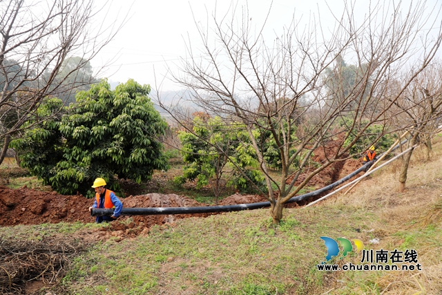 在泸州市龙马潭区双加镇凉坳村，750米长的灌溉管道延伸工程也在如火如荼地进行，一台小型挖机正在抢挖沟渠，不远处，工人们正在热接管道，并将管道埋设在挖好的沟渠内。+(1).JPG