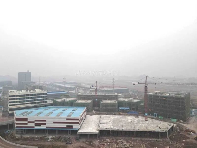 直通港澳、东盟和欧洲！内江这个国际物流中心迎来重大进展