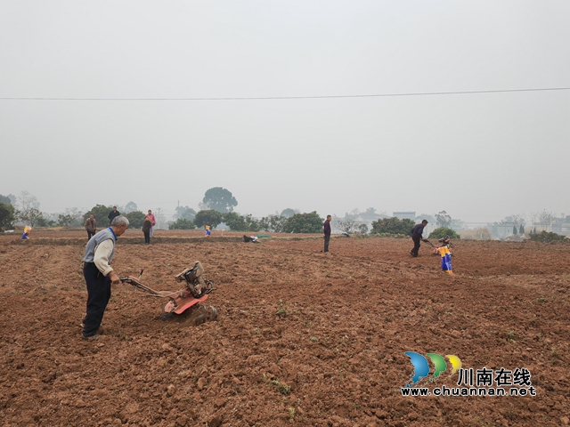 泸县 :17.5吨种子免费送农户,订单种植酿酒高粱10万亩(图6) 伏渔村9组耕地,为集中育秧作准备(曾佐然摄).jpg