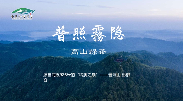 招商“最泸州”：产自纳溪最高峰的特早茶