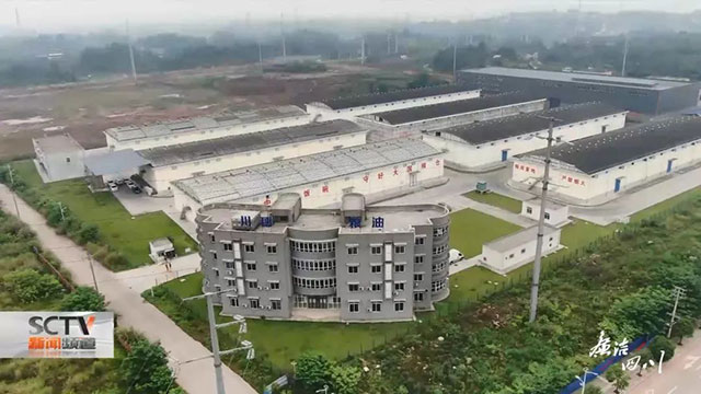 廉播 | 一个拉杆箱竟藏了41万现金……泸州粮储“谷蠹”被查处！