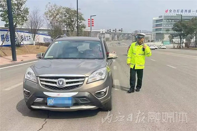 半天时间！内江市中区“逮”到17个