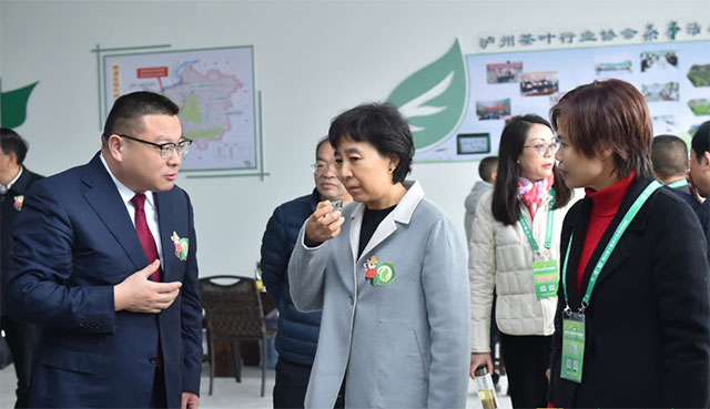 祝春秀到纳溪区调研乡村振兴发展情况