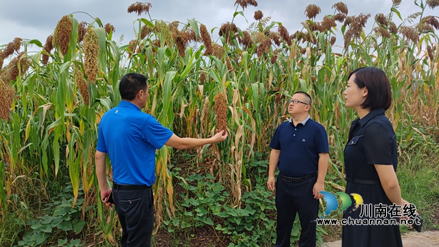熊豪德（中）调研高产产业.jpg