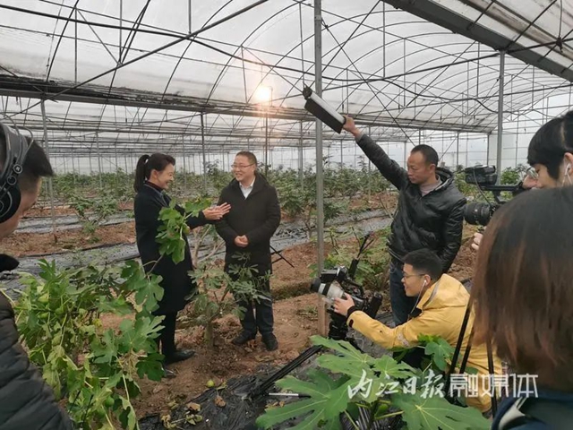 内江又要上CCTV了！今晚8点，记得守到电视机