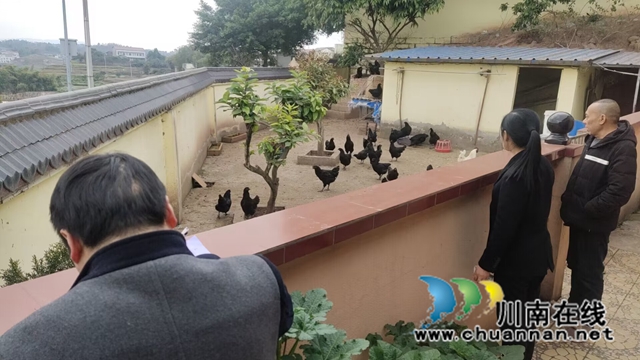 在通滩镇残疾人家中查看鸡苗生长情况.jpg