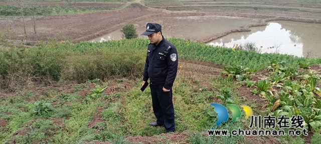 泸县云龙镇:禁种铲毒“百日行动”,踏勘扫除毒品祸害(图1) 9e1fa679e8a33ec4e4a96cd85a8fee0.jpg