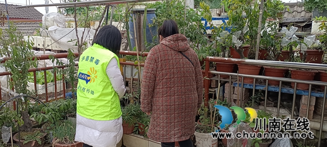 泸县云龙镇:禁种铲毒“百日行动”,踏勘扫除毒品祸害(图3) 微信图片_20230215174439.jpg