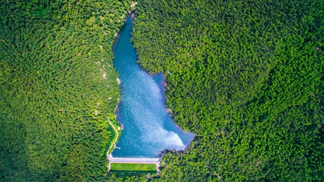 好消息!宜宾这个景区免门票啦!(图3) 玩3.jpg