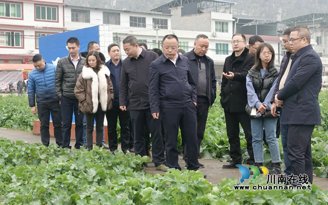 古蔺县全力攻坚耕地恢复工作(图1) 古1.png