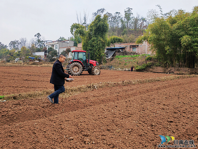 菜花黄育秧忙 “东翼”泸县粮油现代农业园区建设如火如荼(图7) nEO_IMG_播撒稻种(曾佐然摄).jpg