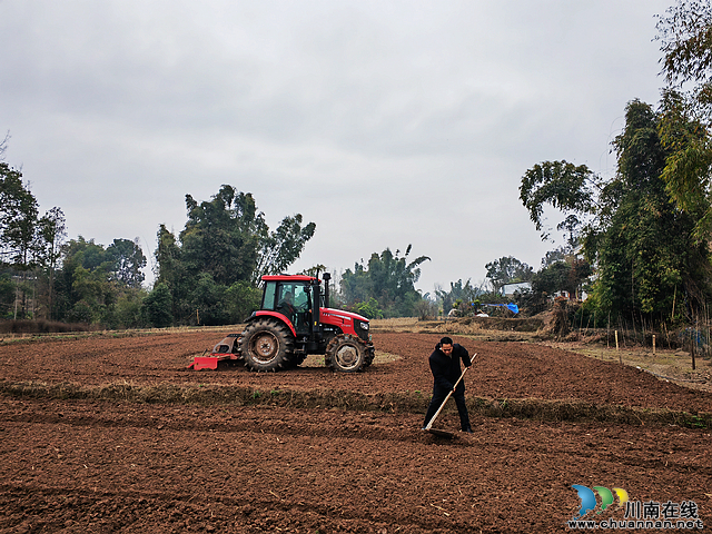 菜花黄育秧忙 “东翼”泸县粮油现代农业园区建设如火如荼(图1) nEO_IMG_开沟为育秧作准备(曾佐然摄).jpg