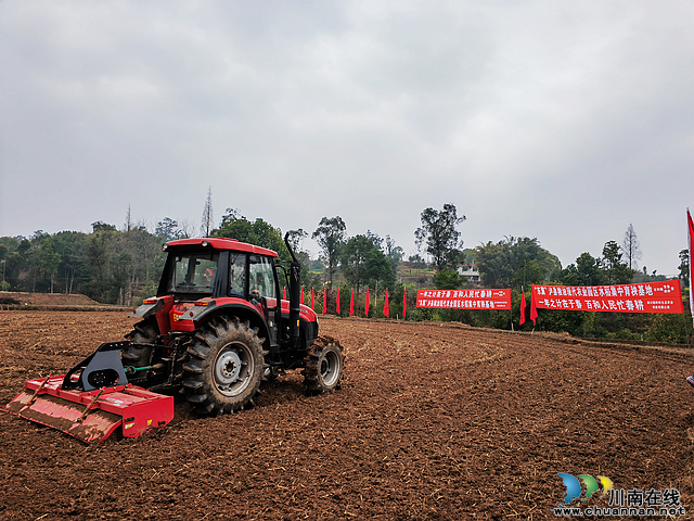 菜花黄育秧忙 “东翼”泸县粮油现代农业园区建设如火如荼(图2) nEO_IMG_集中育秧基地(曾佐然摄).jpg