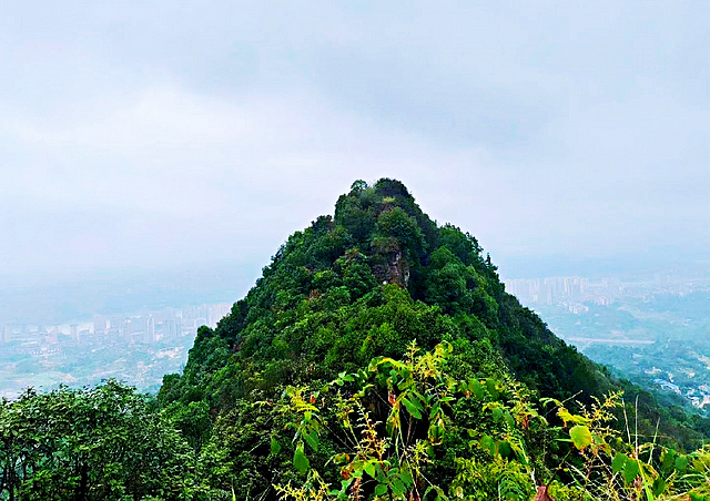 招商“最泸州”：笔架山城市公园