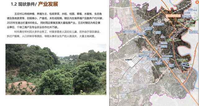 招商“最泸州”：泸州最“文化”生态长廊