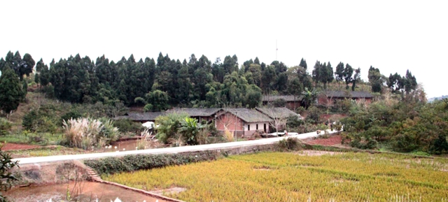 十年追缉！内江警方千里擒凶