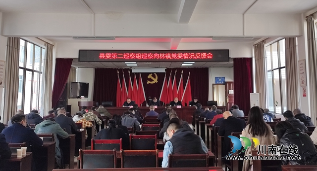 县委第二巡查组巡察向林镇党委情况反馈会2.jpg