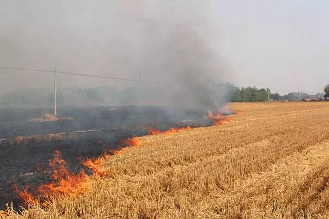 最高罚10万!泸州云龙机场周边禁止放飞气球、孔明灯、无人机、风筝和烟花爆竹等破坏机场净空的行为!(图11) 空11.jpg