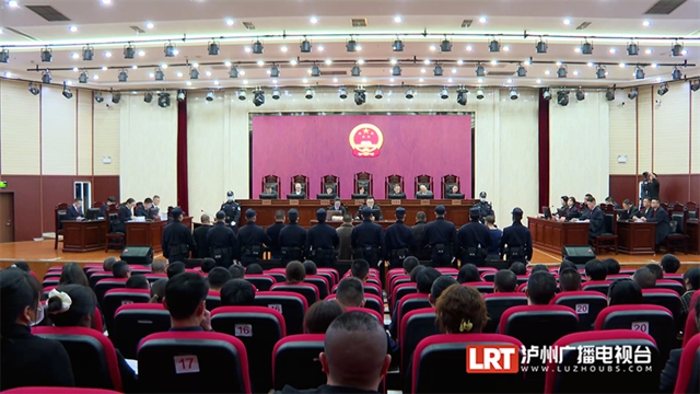 五人被判刑！泸州宣判一起非法猎杀珍贵濒危野生动物彩鹮案