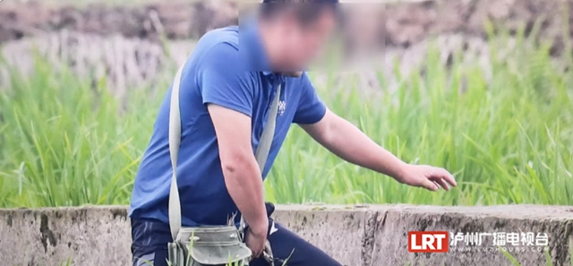 五人被判刑!泸州宣判一起非法猎杀珍贵濒危野生动物彩鹮案(图2) 乌2.jpg