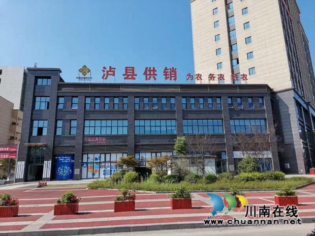 泸县供销合作社大楼（崔宇摄）.jpg