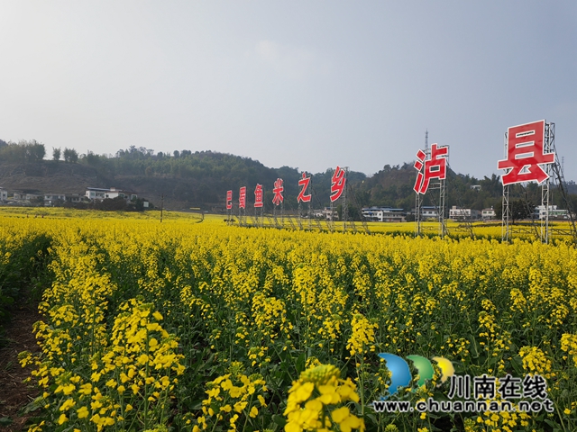 花海（曾佐然摄）.jpg