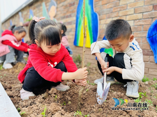泸县城东幼儿园石岗分园开展“植此青绿,约定春天”特色种植活动(图1) 2.jpg
