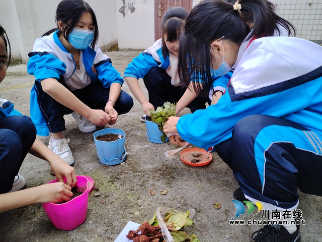 “植”此新绿,拥抱春光|泸州市自强学校开展植树活动(图1) 0BC985B2507B525E6084CD1D4F6F5507.jpg