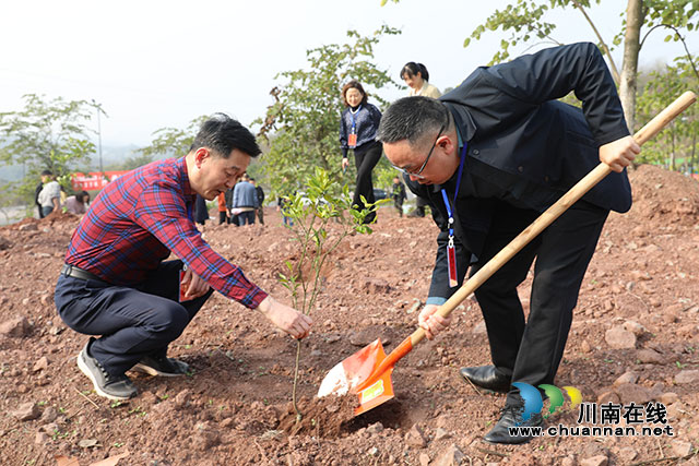 守护青山绿水 我爱母亲河┃江阳区华阳街道组织人大代表开展主题活动(图2) IC4A1362.jpg