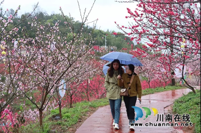 纳溪龙湖水香第二届桃花节启动(图3) 3.jpg