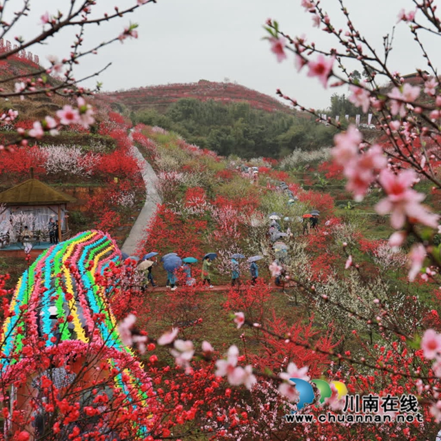 纳溪龙湖水香第二届桃花节启动(图11) 10.jpg