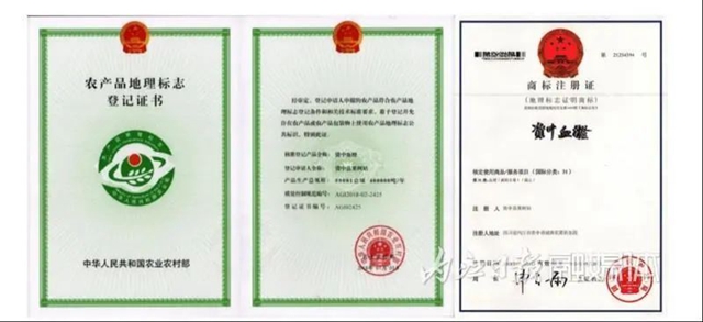 在全国叫响了!内江这东西一年要卖40万吨30亿元(图2) 2.jpg