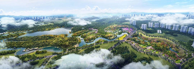 冬季也可赏花！江阳区将新增一个生态景观区