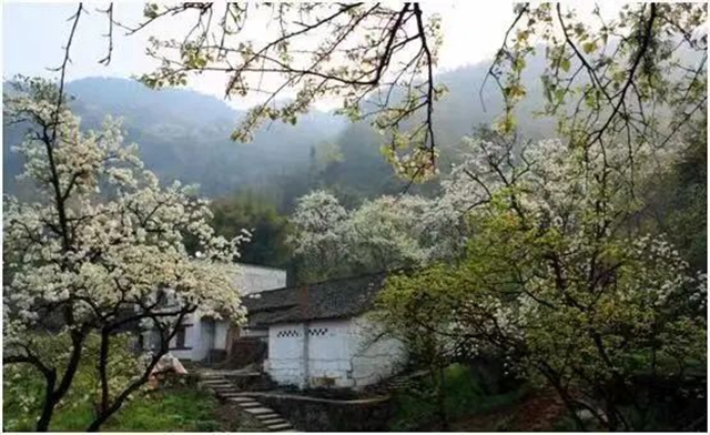 踏青赏花正当时,这份公交出行指南快收藏!(图4) 4.jpg