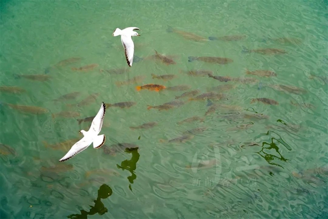 生物2.jpg