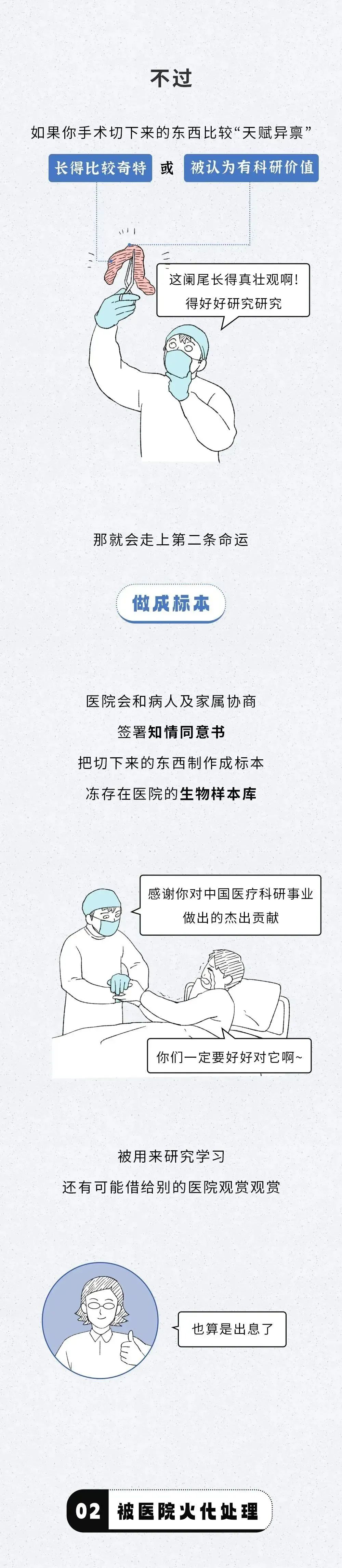 肢3.jpg