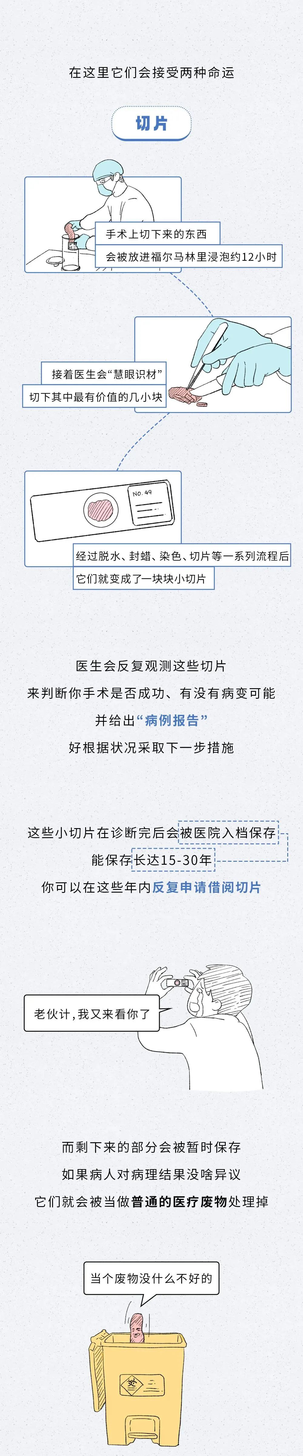 肢2.jpg