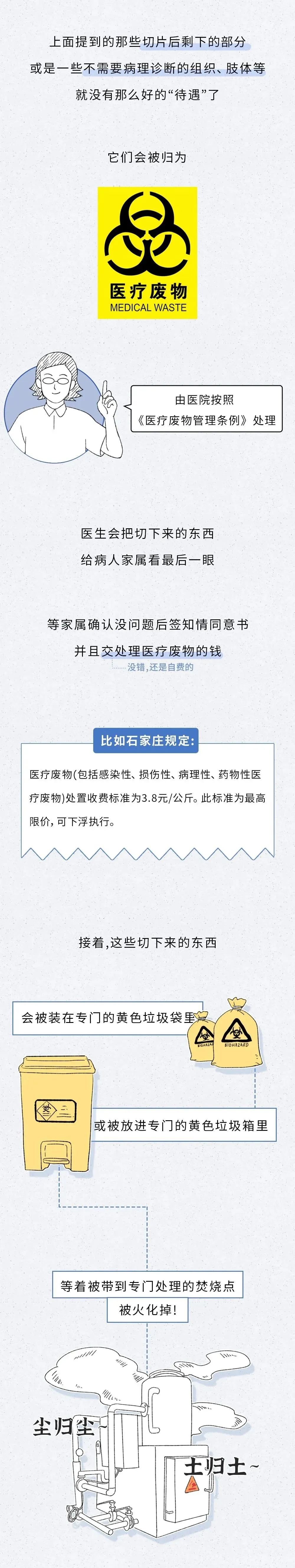 肢4.jpg