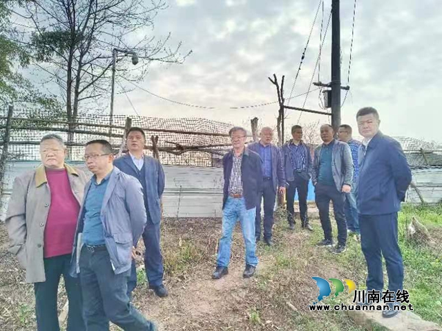 专家调研泸县玄滩刁河村 助力乡村振兴(图1) 河2.jpg