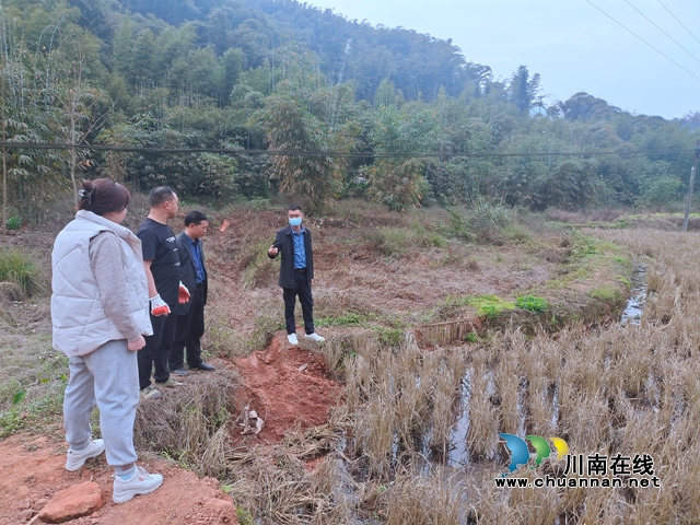 赵镇检查九良村高标准农田 (2).jpg