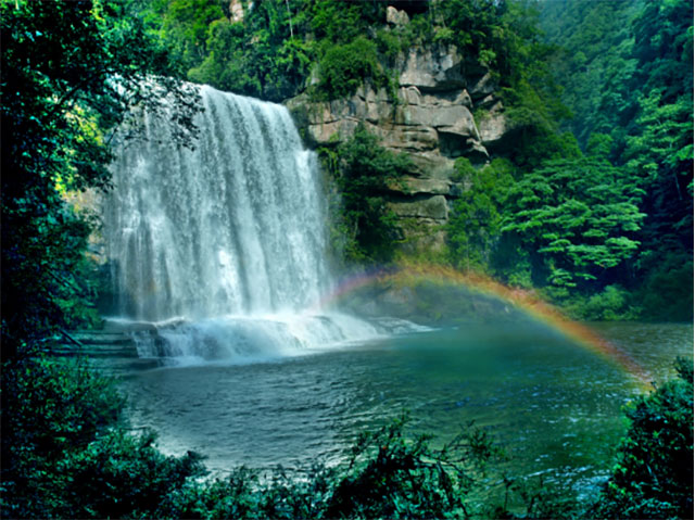 招商“最泸州”｜北纬28度线上唯一保存完好的亚热带原始森林