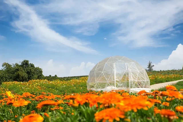 泸州文旅大会 | 看文旅精锐项目如何“狂飙”!(图12) 12.jpg