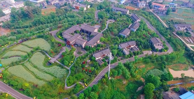 纳溪:茶园变景区,茶旅融合成就乡村振兴新传奇(图5) 7.jpg