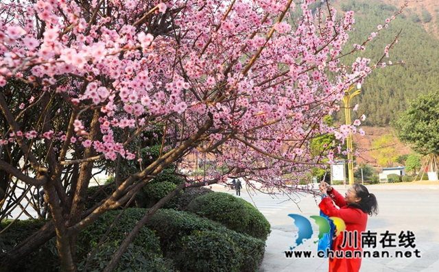 古蔺:春日暖阳里别样的小城(图13) 13.jpg