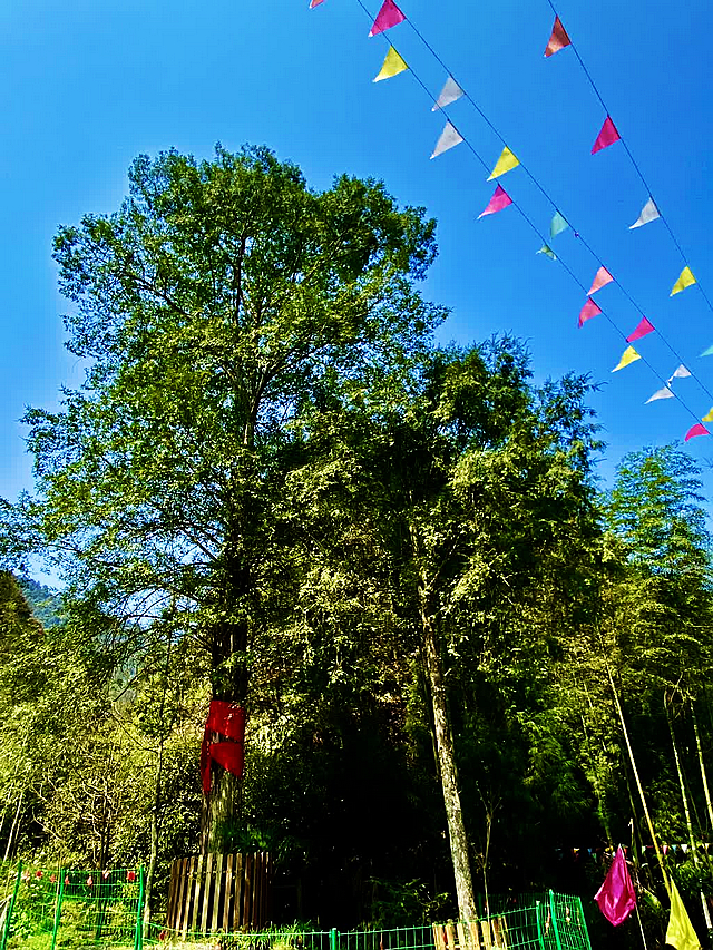 创建天府旅游名县|人间四月,春满黄荆!(图19) nEO_IMG_17.jpg