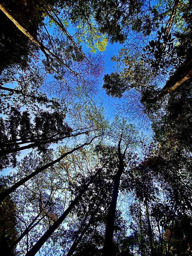 创建天府旅游名县|人间四月,春满黄荆!(图9) nEO_IMG_7.jpg