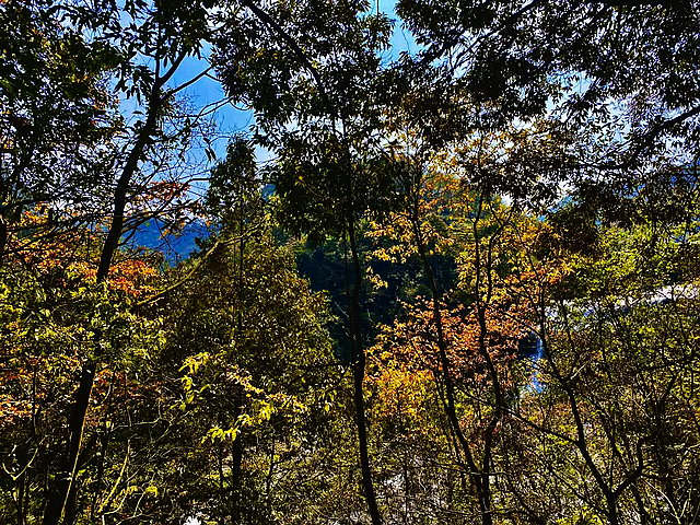 创建天府旅游名县|人间四月,春满黄荆!(图10) nEO_IMG_8.jpg