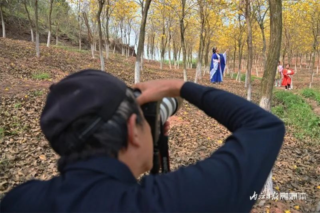 内自同城 | 超出片!内江这一大片金色花海等你来打卡(图5) 5.jpg